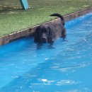 달고펜션 이미지