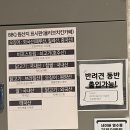 BBQ 청라스퀘어7점 방문후기 (애견동반 가능)