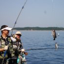 피쉬팩토리 이미지