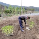 백동농장 이미지