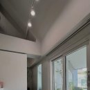 제이나니 이미지