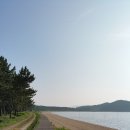 동백유원지 이미지