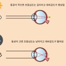 안경, 봄날 이미지