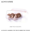 예담농원 이미지