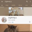 멍&냥 이미지