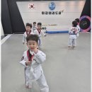 무한태권도장 이미지