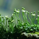 안흥맨션 이미지