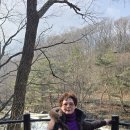 설천면108 Daum카페