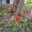 주식회사 광신 이미지