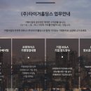 타이거컨설팅