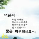 부활장의사 이미지