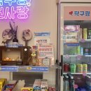 탁구랑첫사랑부평