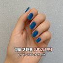블루네일 - 전주시 완산구 홍산로 238 | 김포 구래동네일 8월 여름 블루 자석 네일아트 네일세연 후기