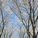 임하댐노인복지관 이미지