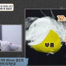 깜순이농장 이미지