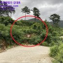 망치보건진료소 이미지