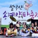 미륵송계로 이미지