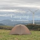 성지목장 | 곰탕이라고 포기하지마! 백패킹 3대 성지 대관령 선자령 | 10월 연휴 목장코스 쉽게가는 꿀팁