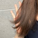 헤어트리트먼트 추천 퓨어모션 노워시 단백질트리트먼트 사용후기