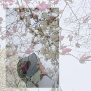 강변집 이미지