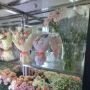 플라워토피아
