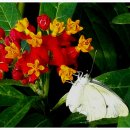 한종농장 이미지