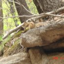 하루의 찬 이미지