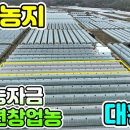 성주부동산중개 이미지