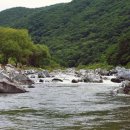 숲속계곡 이미지