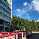 겜덕 | 오버워치 옵챔스 OWCS KOREA 2025 stage3 직관 후기 (사진多)