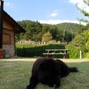 G1169 | 산들산들 가을 바람도 불어올 때! 떠나고 싶을 때 !! 바로 여기 경주에 위치한 G1169펜션으로 가볼까용~?!