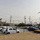 오송애견 | [오송 애견카페] 수플레팬케이크 맛집 오송 위우드커피 애견동반카페 솔직후기