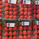 김천하나로마트 (옥외1) | 🍓 김천 딸기 추천｜김천혁신도시 하나로마트 로컬푸드에서 만나는 미인딸기[최경동]