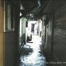 시장담배집 이미지
