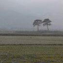 평사리가는길 이미지