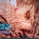 벌거벗은세계사 중국 서역 신장웨이우얼 타클라마칸 6. 한바자 장건(창첸), 가축시장 황지향(황디샹) 이미지