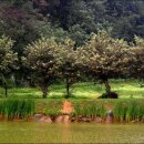 비오는날 수채화 이미지