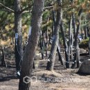 동해망상오토캠핑리조트 이미지