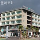 호텔아로하 | 제주 서귀포 호텔 호텔아로하 촌캉스실제체험기리얼후기