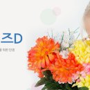 글라스스토리안경김포한강점 이미지