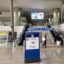 삼송제일약국 네이버블로그