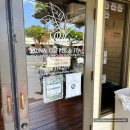 은하수펫샵 | 여행] 경이로웠던 마우나케아 천문대 선셋 은하수 본 후기/ 빅아일랜드맛집 Da poke shack 코나커피 Poi...