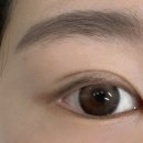 윤Art-brow