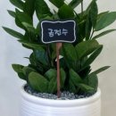 진주꽃방