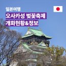 수양-0002 | 일본 오사카성 벚꽃축제 정보 3월 21일 개화 상태 및 꿀팁