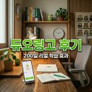 듀오링고 효과 있을까? 200일 연속 학습하며 느낀 리얼 후기