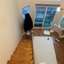 코코애견펜션 이미지