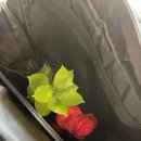 길림성인계점 이미지