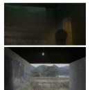 조형과 운동 이미지