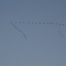 한탄리버스파호텔 이미지